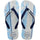 White/Navy Blue